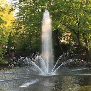 Springbrunnen in Frankfurt am Main - Christiane Witt - Feng Shui Beratung