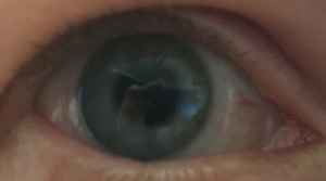 Auge Christiane Witt Feng Shui Beratung