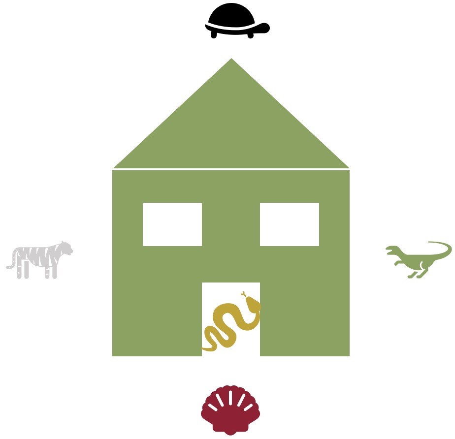 Darstellung der vier himmlischen Tiere im Feng Shui - Christiane Witt - Feng Shui Beratung