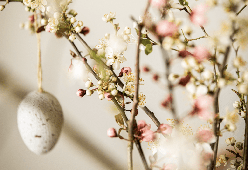 ostern-mit-feng-shui-christiane-witt-feng-shui-beratung