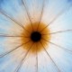 3 Gründe, warum Sie sich die Mitte Ihres Zuhauses genau anschauen sollten Christiane Witt Feng Shui
