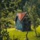 Tiny house_Feng Shui auf kleinstem Raum_Christiane Witt Feng Shui Beratung