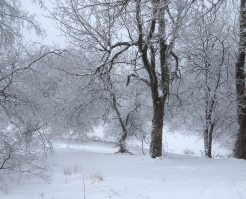 Was ist für mich Feng Shui # 3 Winterlandschaft Hoherodskopf Christiane Witt Feng Shui Beratung