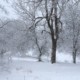 Was ist für mich Feng Shui # 3 Winterlandschaft Hoherodskopf Christiane Witt Feng Shui Beratung