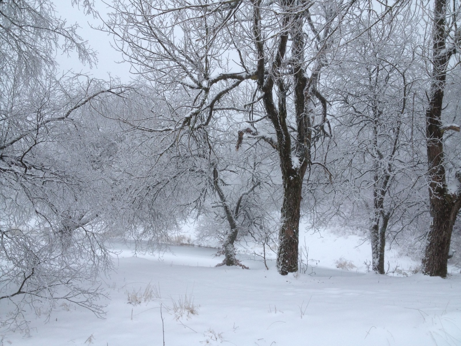 Was ist für mich Feng Shui # 3 Winterlandschaft Hoherodskopf Christiane Witt Feng Shui Beratung