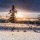 Wintersonnenwende Christiane Witt Feng Shui Beratung Photo by Denys Nevozhai on unsplash