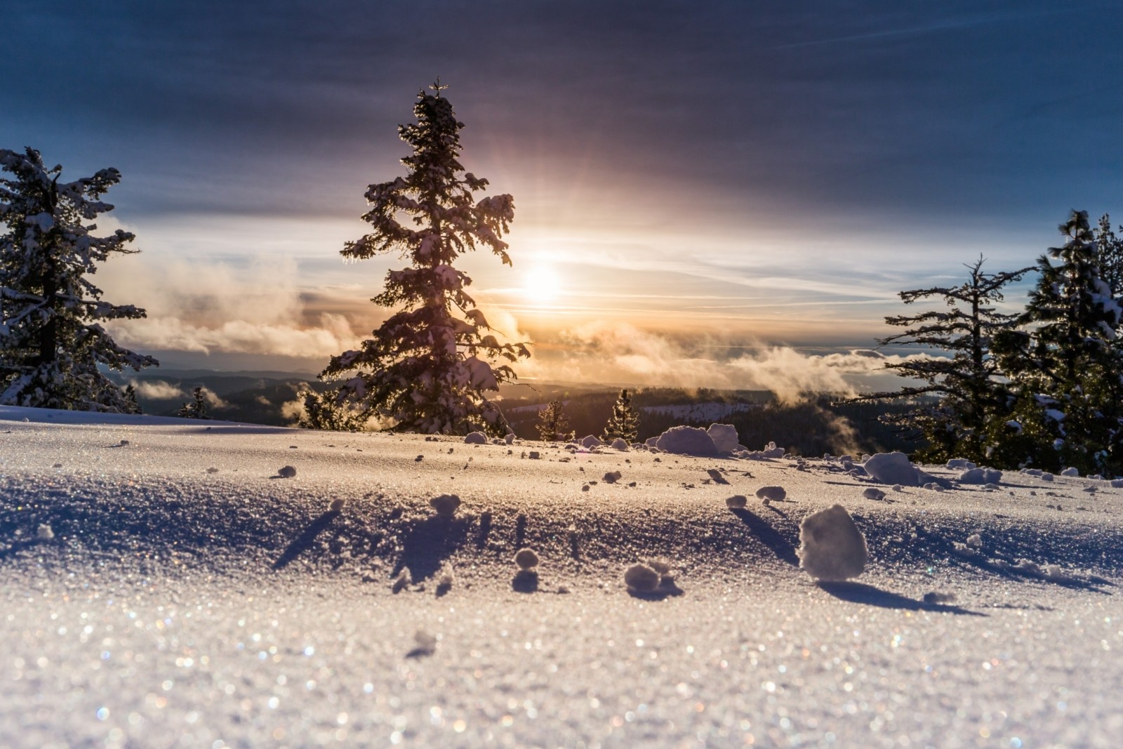 Wintersonnenwende Christiane Witt Feng Shui Beratung Photo by Denys Nevozhai on unsplash