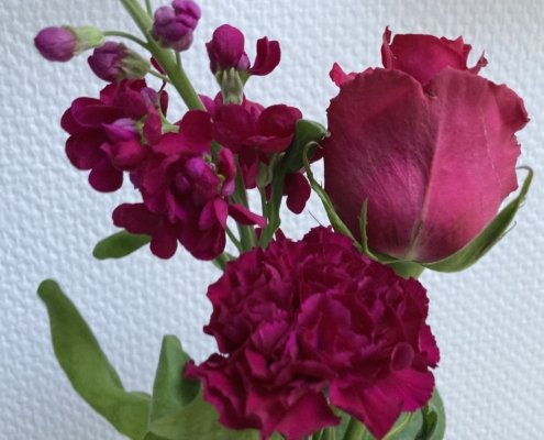 Blumen Viva Magenta Pantone Farbe 2023 Christiane Witt Feng Shui Beratung