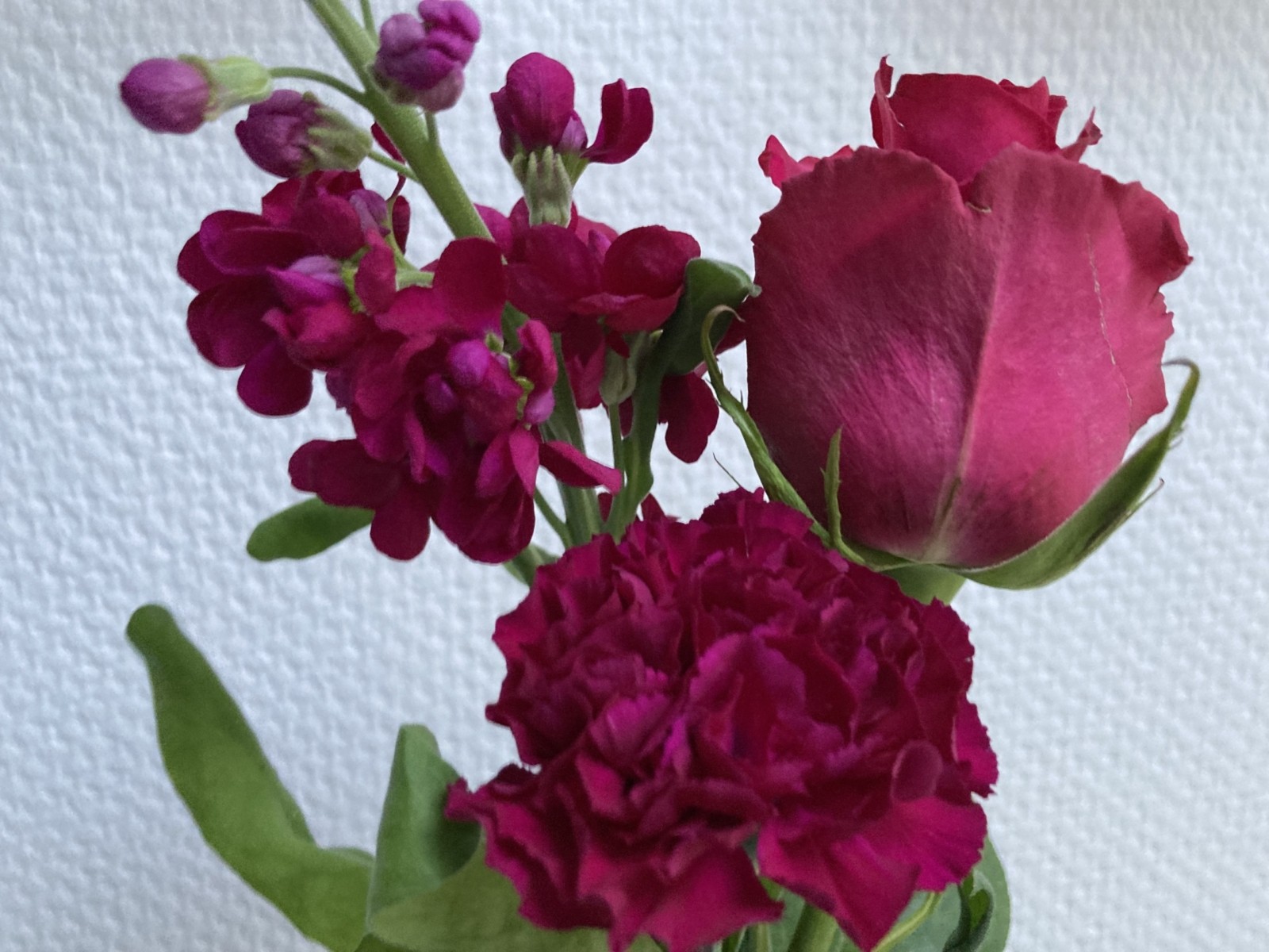 Blumen Viva Magenta Pantone Farbe 2023 Christiane Witt Feng Shui Beratung