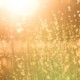 flimmernde-hitze-sommer-christiane-witt-fengshui-kent-pilcher-unsplash