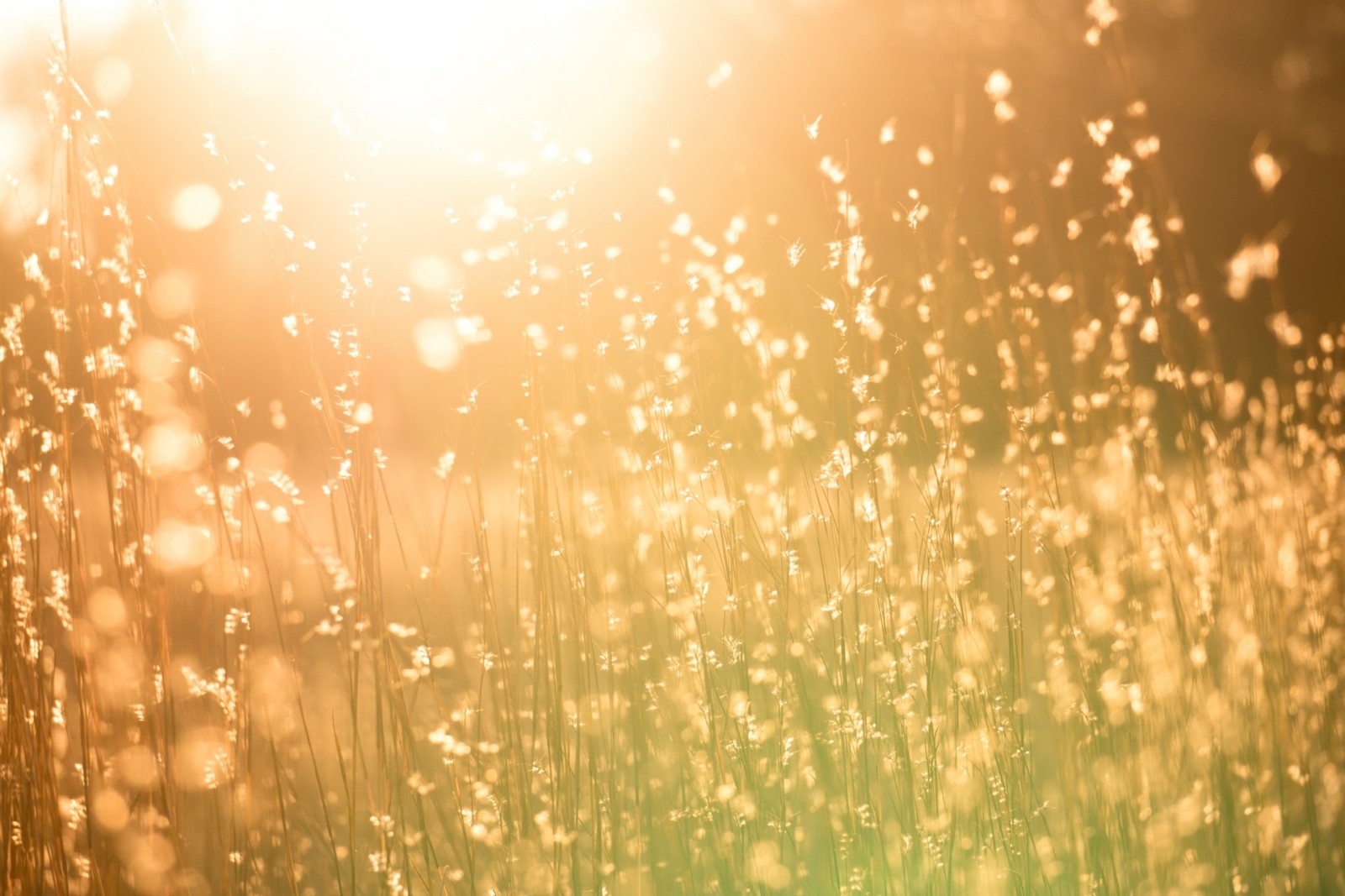 flimmernde-hitze-sommer-christiane-witt-fengshui-kent-pilcher-unsplash