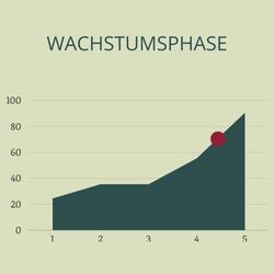 wachstumsphase-unternehmen-christiane-witt-fengschui-beratung