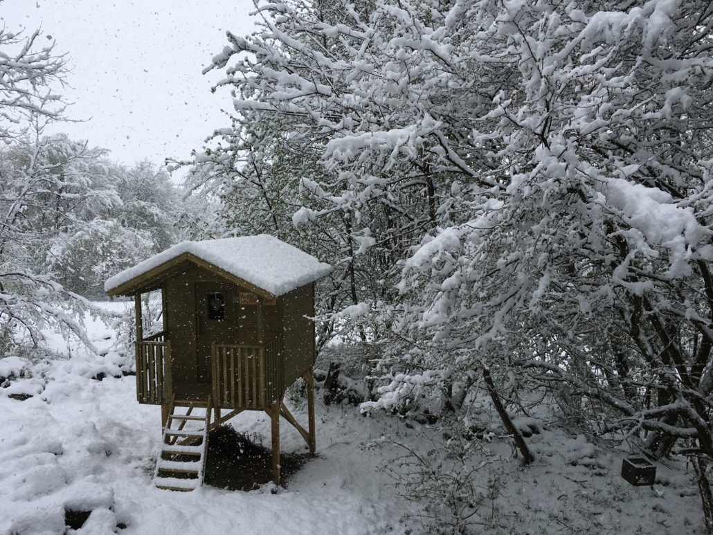 feng-shui-im-winter-christiane-witt-fengshuiberatung