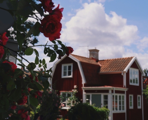 feng-shui-im-fruehsommer-christiane-witt-fengshuiberatung