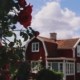 feng-shui-im-fruehsommer-christiane-witt-fengshuiberatung