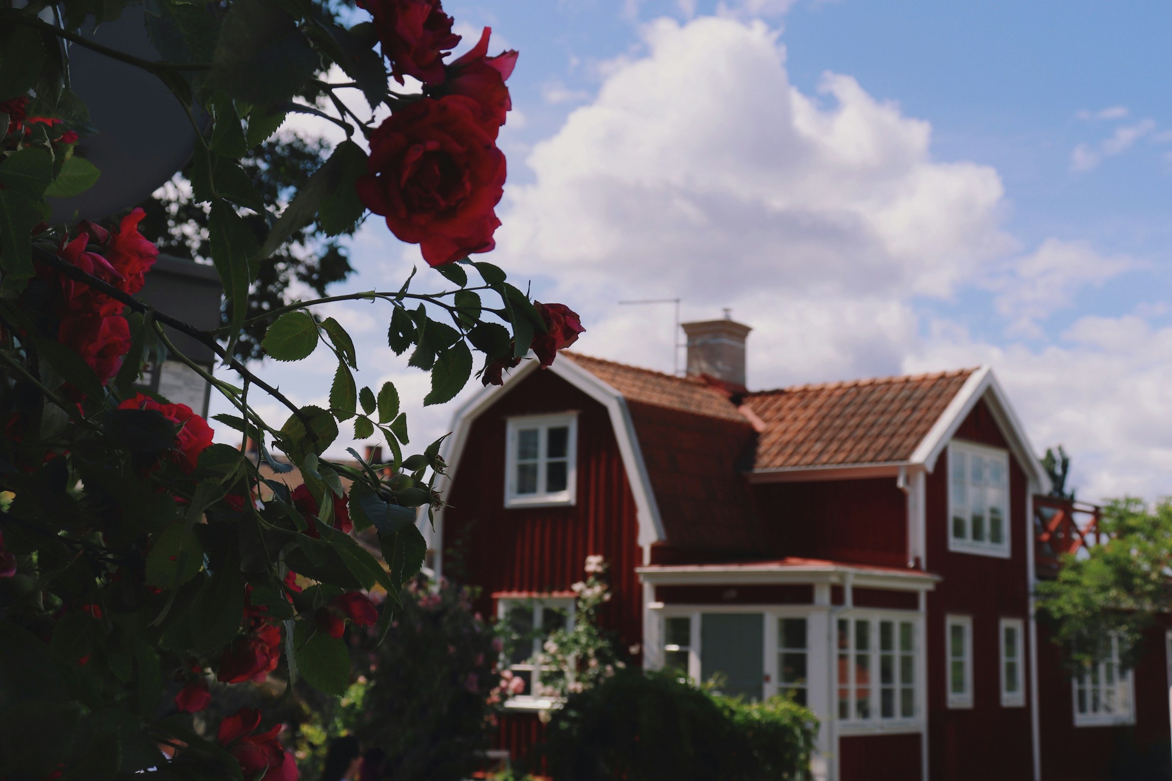 feng-shui-im-fruehsommer-christiane-witt-fengshuiberatung